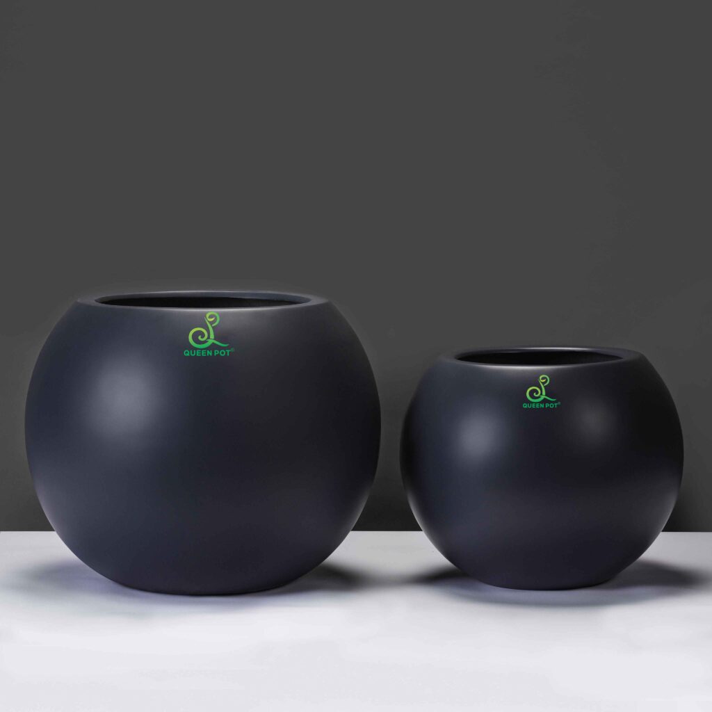 Chậu composite bách vượng