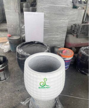 chau xi mang nhe da mai bầu caro