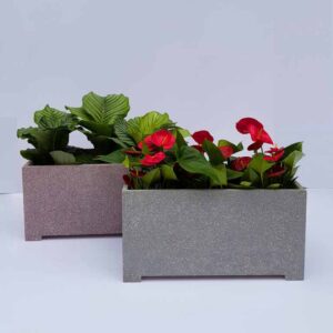 Chậu composite sơn giả đá 3