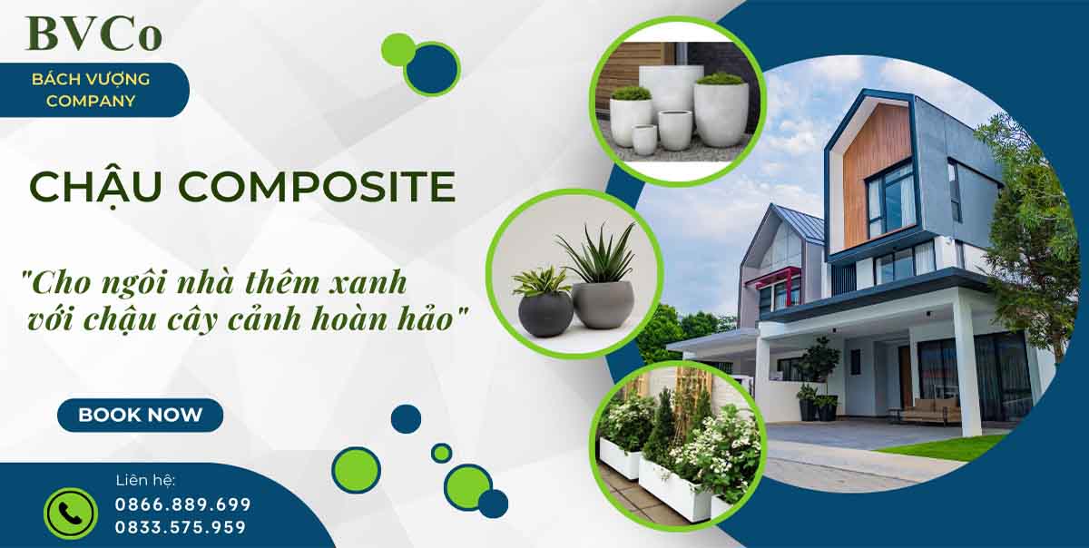 banner chậu composite bách vượng