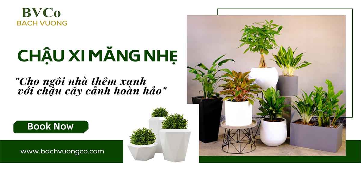 banner chậu xi măng nhẹ bách vượng