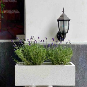 Chậu cây xi măng nhẹ chữ nhật xám đá đen