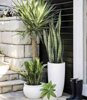 Chậu xi măng nhẹ đầu đạn màu trắng