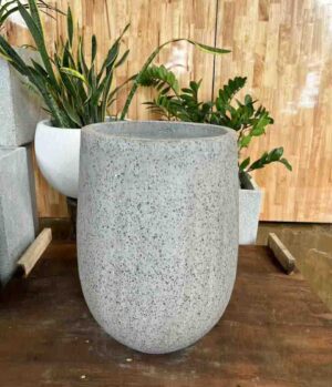 Chậu tròn bo đáy 4