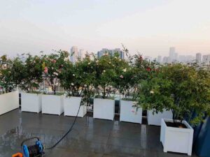 Chậu composite hộp chữ nhật ban công