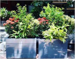 Chậu composite kẻ chỉ màu ghi tối