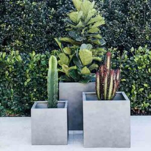 chậu xi măng nhẹ vuông màu xi măng