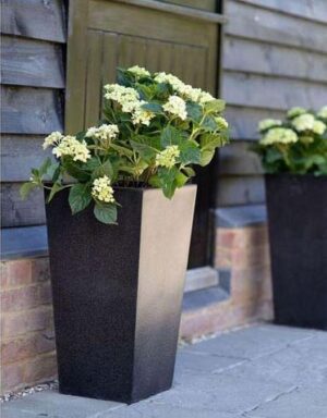 Chậu xi măng nhẹ vuông vát màu đen