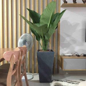 chau-cay-canh-chat-luong-cao