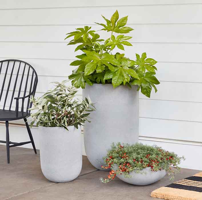 Chậu xi măng đá mài trang trí sân vườn