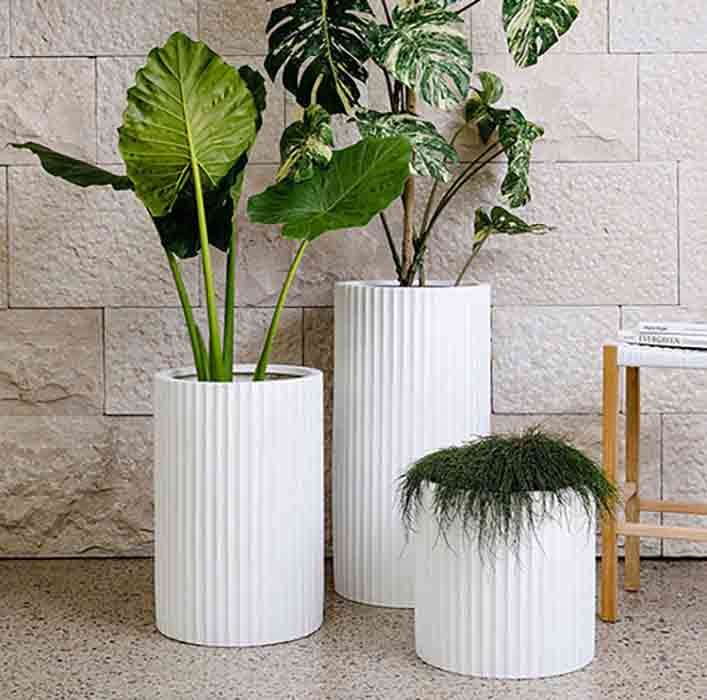 Sản Phẩm Mới