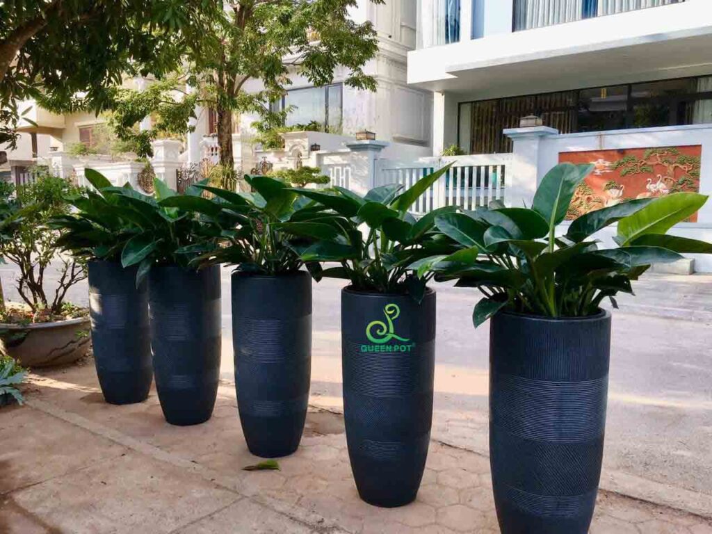 Chậu đầu đạn decor