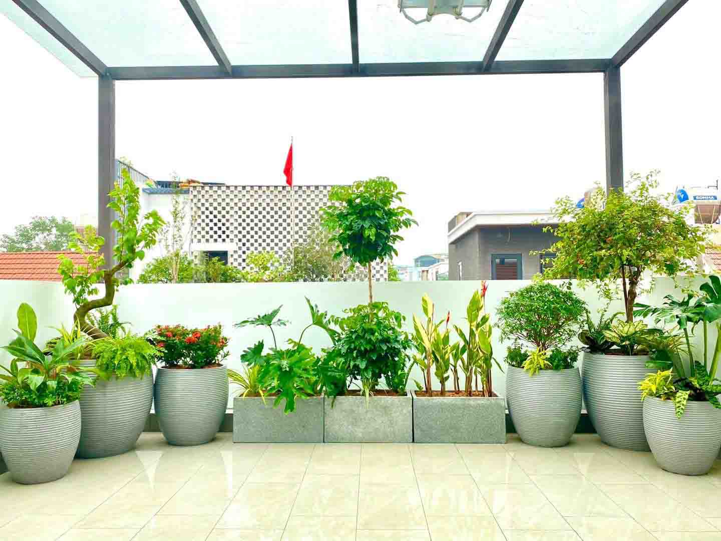 Bộ sưu tập chậu xi măng nhẹ đá mài BVCo