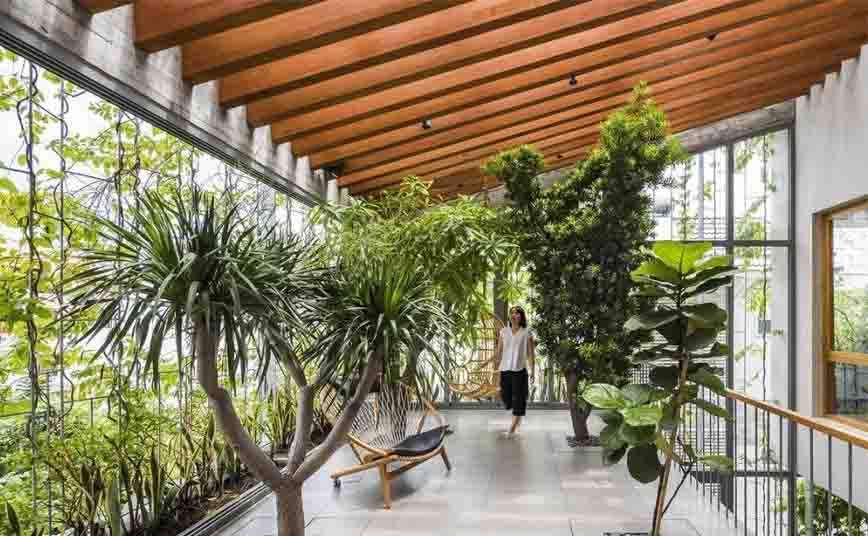 chậu cây xanh cho cuộc sống lành mạnh