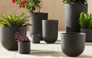 chậu xi măng nhẹ