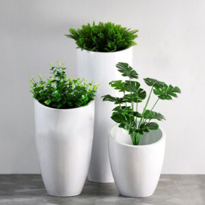 mua chậu cây cảnh composite, xi măng nhẹ TP HCM