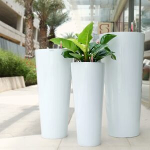 mua chậu cây cảnh composite, xi măng nhẹ TP HCM