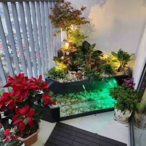 Bể cá bể tiểu cảnh composite BVCo