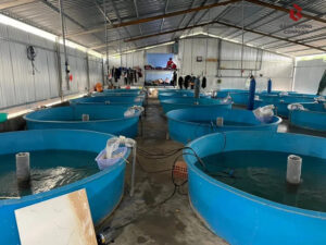 Bể sử dụng rộng rãi