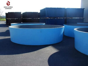 Thiết kế hồ nuôi cá