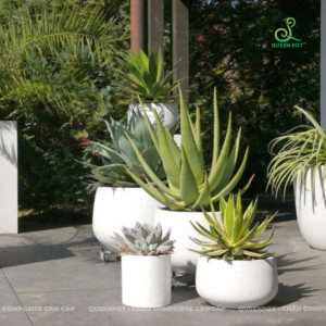 Trang trí sân vườn biệt thự