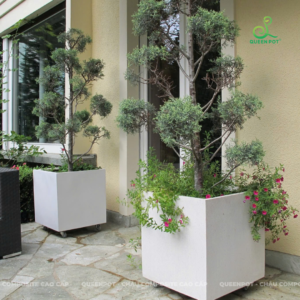 Chậu cây composite ngoài trời – Bền đẹp bất chấp thời tiết
