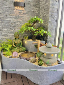 Kinh nghiệm chọn chậu trồng cây bền đẹp, hợp phong thủy