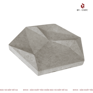 Gạch bê tông 3D lục giác
