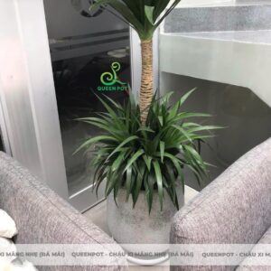 Chậu xi măng nhẹ tròn bo đáy