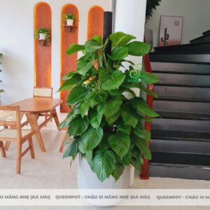 Chậu xi măng nhẹ tròn bo đáy