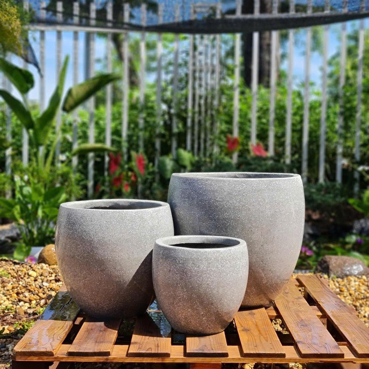 Chậu tròn trứng cao Chậu tròn trứng cao